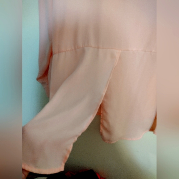 Massini 3x light pink sheer button down blouse - Picture 2 of 3